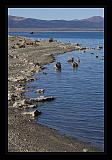 Mono_Lake_USA_038