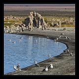 Mono_Lake_USA_040