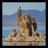 Mono_Lake_USA_057