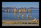 Mono_Lake_USA_061