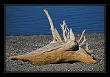 Mono_Lake_USA_062