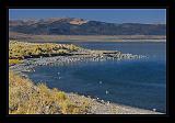 Mono_Lake_USA_063