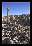 Mono_Lake_USA_078