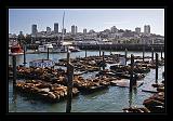 San_Francisco_105