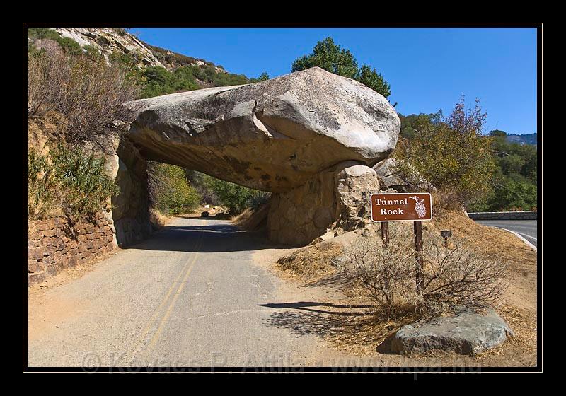 Sequoia_NP_002.jpg