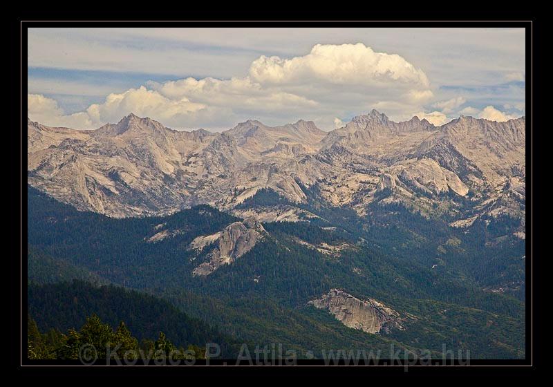 Sequoia_NP_036.jpg