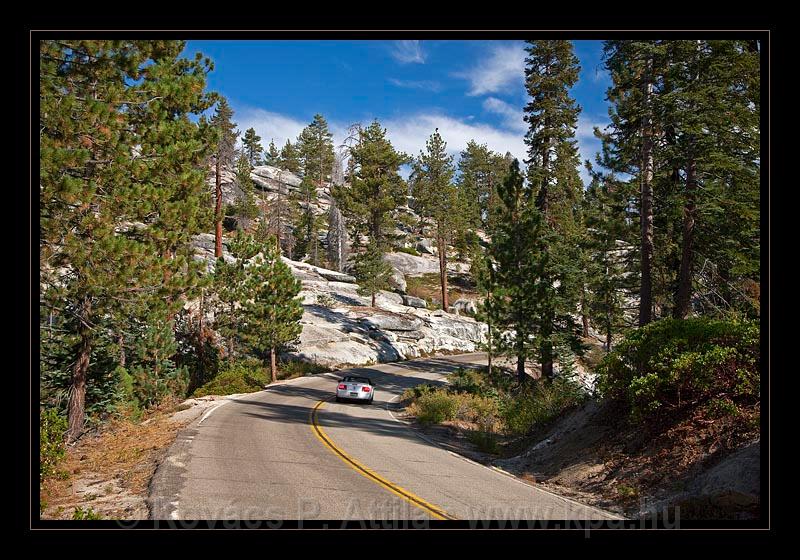 Sequoia_NP_047.jpg