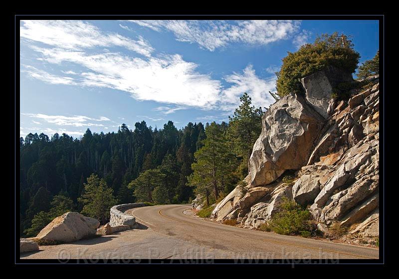 Sequoia_NP_053.jpg