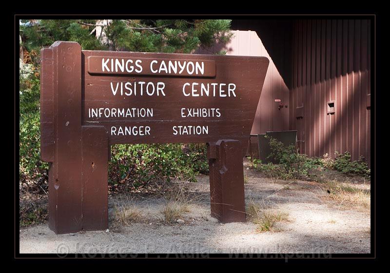 Sequoia_NP_054.jpg