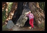 Sequoia_NP_007