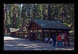 Sequoia_NP_013