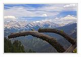 Sequoia_NP_034