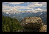 Sequoia_NP_035