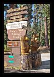 Sequoia_NP_046