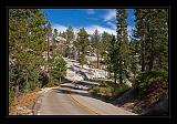 Sequoia_NP_047