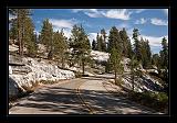 Sequoia_NP_048