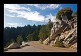 Sequoia_NP_053