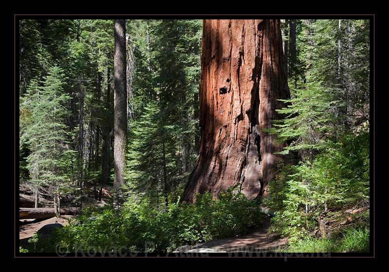 Yosemite_NP_USA_007.jpg