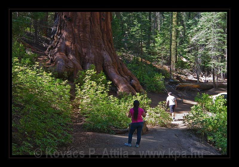 Yosemite_NP_USA_014.jpg