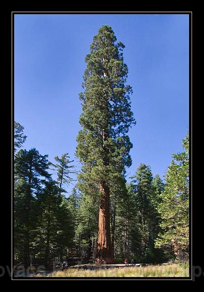 Yosemite_NP_USA_018.jpg