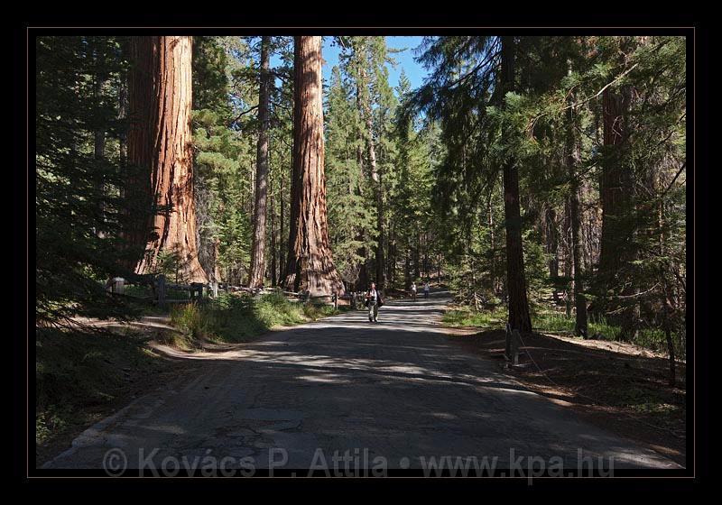 Yosemite_NP_USA_031.jpg