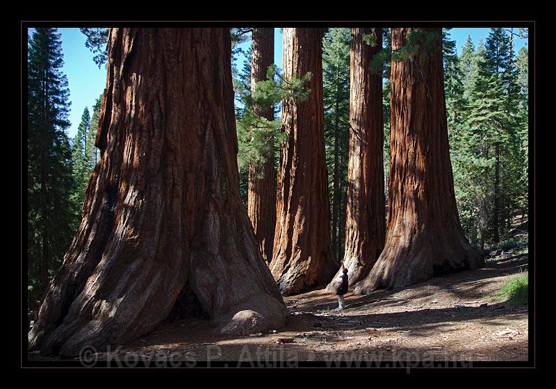 Yosemite_NP_USA_032.jpg