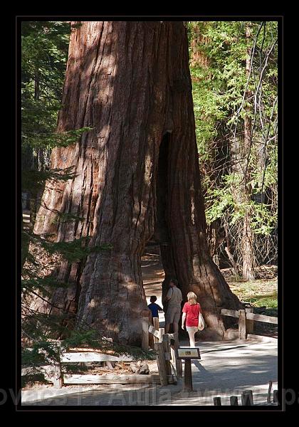 Yosemite_NP_USA_037.jpg