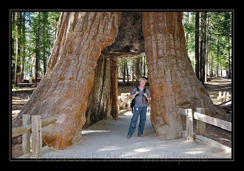 Yosemite_NP_USA_041.jpg