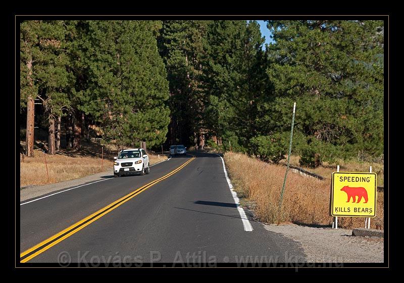 Yosemite_NP_USA_052.jpg