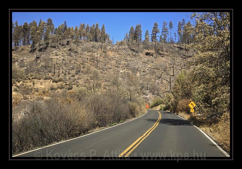 Yosemite_NP_USA_064.jpg