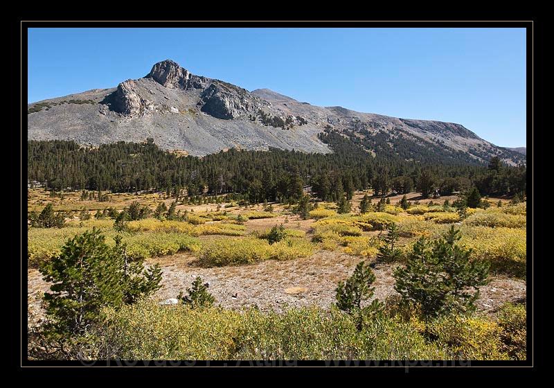 Yosemite_NP_USA_089.jpg