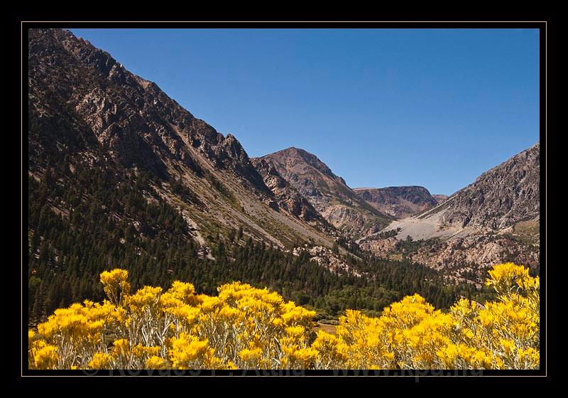 Yosemite_NP_USA_112.jpg