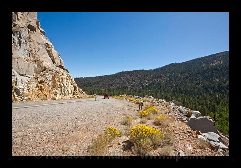 Yosemite_NP_USA_113.jpg