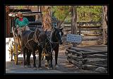 Yosemite_NP_USA_005