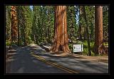 Yosemite_NP_USA_009