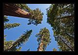 Yosemite_NP_USA_011