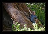 Yosemite_NP_USA_013