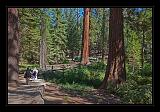 Yosemite_NP_USA_015