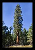 Yosemite_NP_USA_018