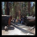 Yosemite_NP_USA_021