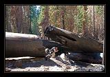 Yosemite_NP_USA_024