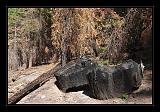 Yosemite_NP_USA_025