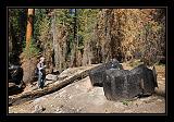 Yosemite_NP_USA_026