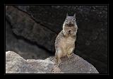 Yosemite_NP_USA_029