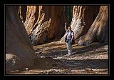 Yosemite_NP_USA_033