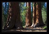 Yosemite_NP_USA_034