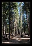 Yosemite_NP_USA_036