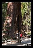 Yosemite_NP_USA_037