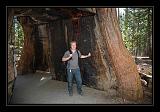 Yosemite_NP_USA_042