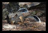 Yosemite_NP_USA_045